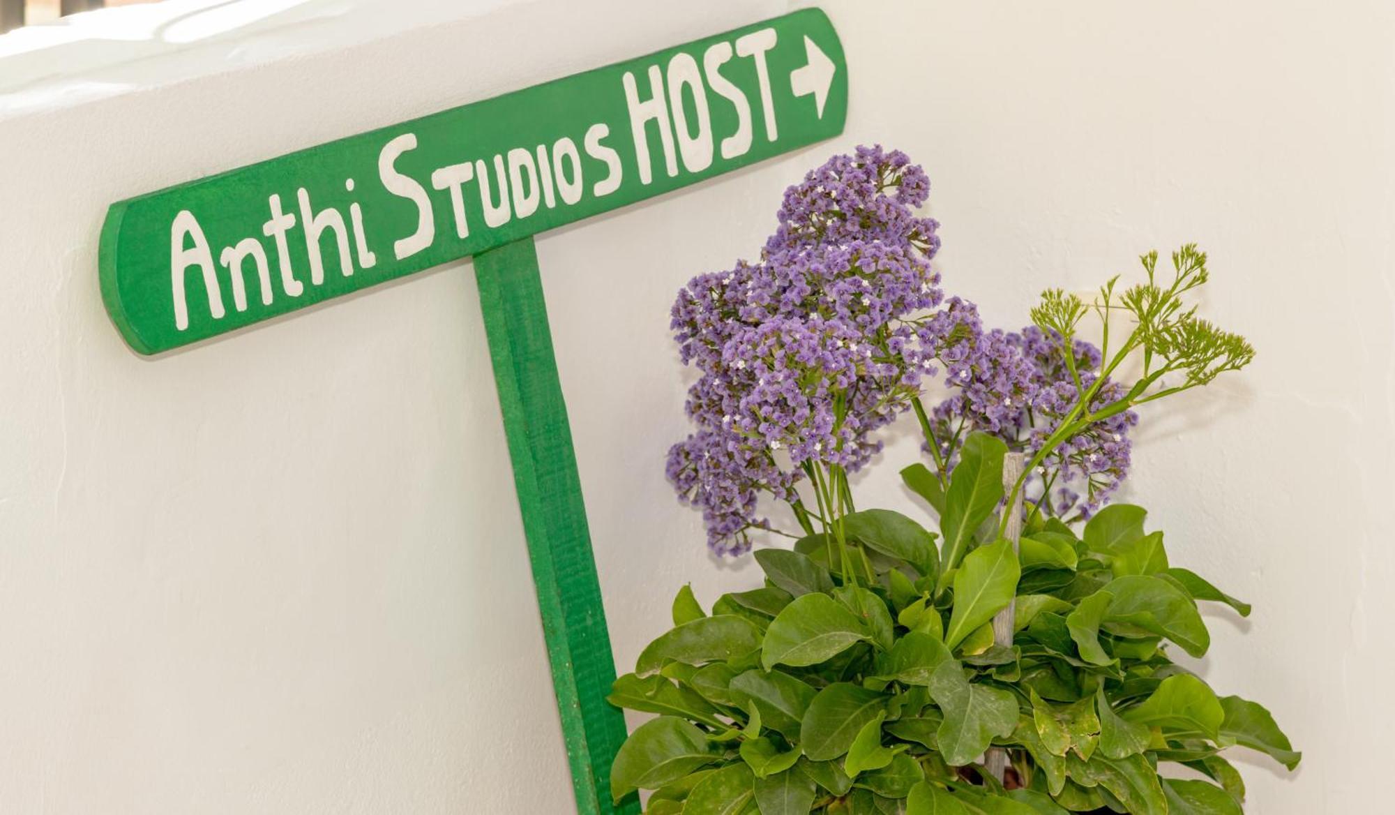Anthi Studios & Apartments アリケス エクステリア 写真